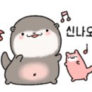 조가네 갑오징어 방배카페거리점 이미지