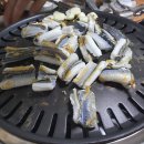 대영장어 이미지