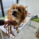 대동강주유소 이미지