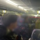 팜스타마트 이미지