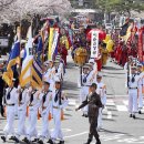 편백로-1 이미지