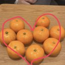 인동경로당 | 교육 강사] 청년소비자역량제고 및 디지털디바이드 해소사업ㅣ 대학생 강사ㅣ 소비자 강의ㅣ 대외활동 후기