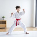 한국체대 건강한태권도 이미지