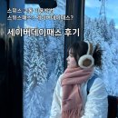 스위스 교통 스위스패스 세이버데이패스 비교, 구매 후기