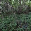 구산면580 이미지