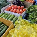 대성야채청과 이미지