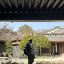 나무향기 이미지