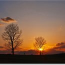 아로목장 이미지