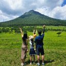 대명해외관광(유) | 후쿠오카 버스투어 1일 추천 유후인 예약 비용 할인쿠폰 유투어버스 내돈내산 솔직후기