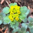 원주굽이길 16코스 매지순환둘레길 | 원주 굽이길 16코스. 매지 순환 둘레길