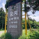 웅지승마센터 이미지