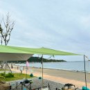 해송피크닉장 | 포항 캠핑장, 포항 창바우마을 캠핑장 예약 이용 후기, 해송 피크닉장, 평일 8번 사이트
