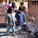 월아산 숲속의 진주(목재문화체험관) 이미지