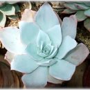 햇살이 머무는 뜨락 이미지