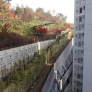 김인섭의원 이미지