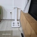 상모놀이 | 점핑 다이어트 운동으로 즐겁게 체중감량한 쩜핑머신 상모점 후기