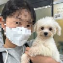 키스더도그/아르테미스 네이버블로그