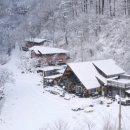 세쌍둥이네풀꽃세상 이미지