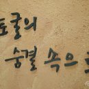 명품광천토굴새우젓 이미지