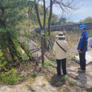 백운계곡 이미지