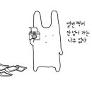 심심토끼