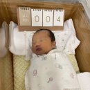 더 아이리스 산후조리원 이미지