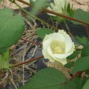 강남동-10 이미지