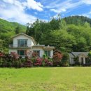 꽃뜰펜션 이미지