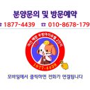 늘해랑합기도 이미지