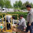 여순환경 이미지