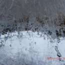 주운농장 이미지