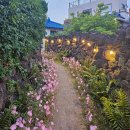 루디아바다 이미지