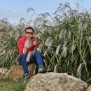 탄금공원 이미지