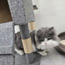 고양이 미용실 방울선생 이미지