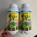 틔운미니 씨앗 키트 재활용, 다이소 씨앗으로 쑥쑥 키우는 후기