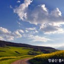 도인로 이미지