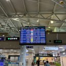 온심약국 | 날 : 김해공항-후쿠오카공항, 엔 호텔 하카타, 오가약국, 하카타역, 한큐백화점, 시로, 다이소...