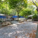 영월천문대펜션 이미지