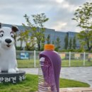 개님의상점 | 강아지산책템 개님의상점 실리콘보틀캡 후기