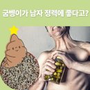 영천별빛굼벵이농장 이미지