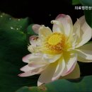 산수의료재단