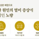 튼튼약국 이미지