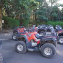 대유랜드 이미지