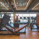 뉴파워짐 이미지