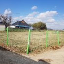 대지1리 마을회관 이미지