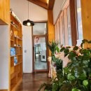 애기 강아지 반려견전문샵 이미지