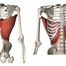 운동자판기 GYM 이미지