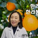순수 한약국 이미지