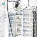245 이미지