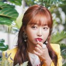 펀치 카카오 검색결과